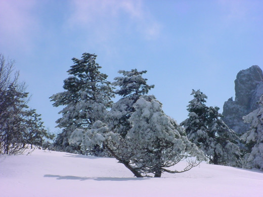 32878 (a): :1024x768